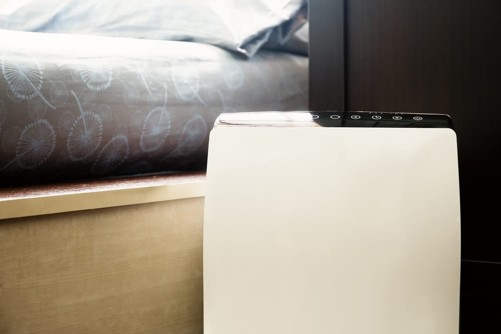 what does an air purifier do
