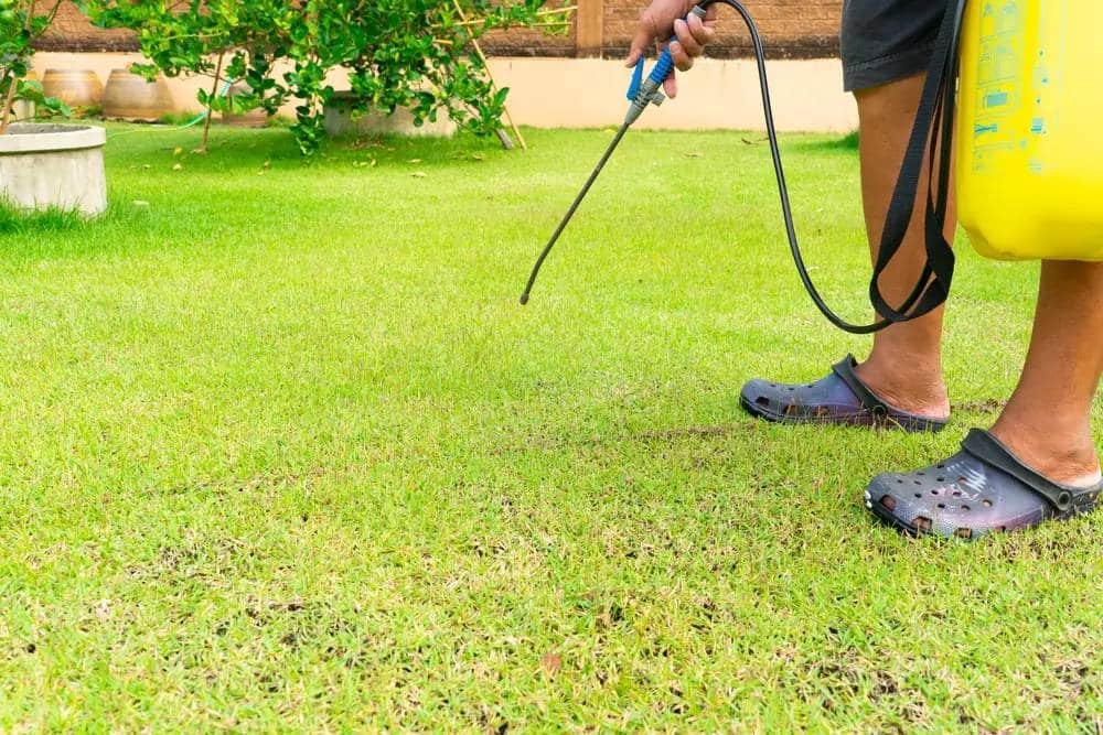 How Does a Weed Killer Work