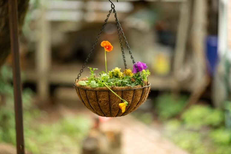 How to Make Hanging Planters – DIY Ideas You Should Try