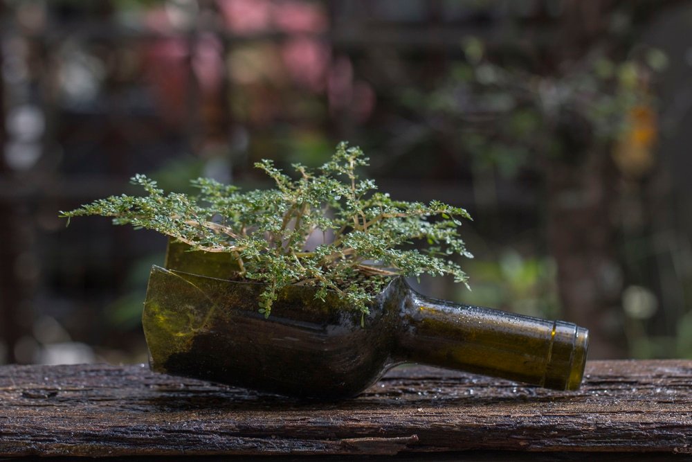 how to make hanging wine bottle planters