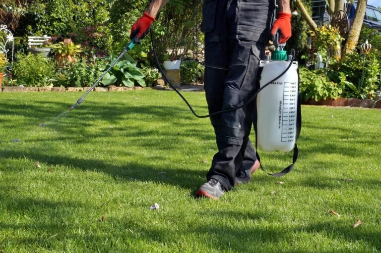 How to Make Weed Killer: Solutions to Keep Your Garden Lovely