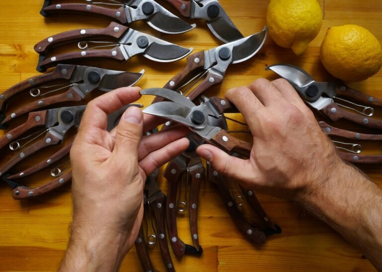 Your in-Depth Guide On How to Sharpen Secateurs