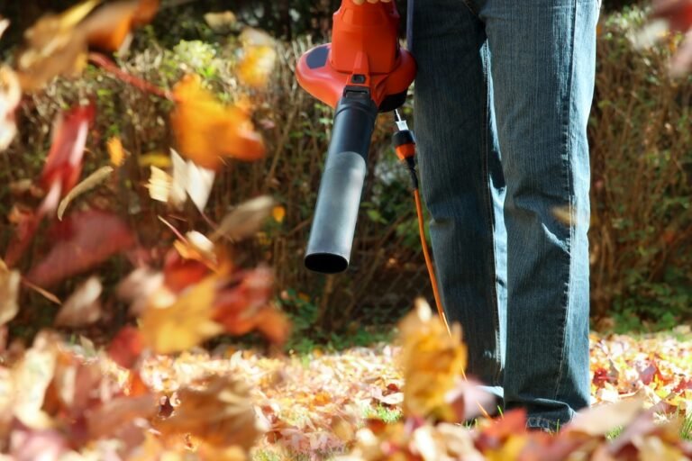 How to Use a Garden Vacuum: A Step-by-Step Guide to Tidiying Your Yard
