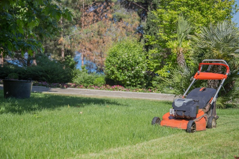 what does a lawn scarifier do