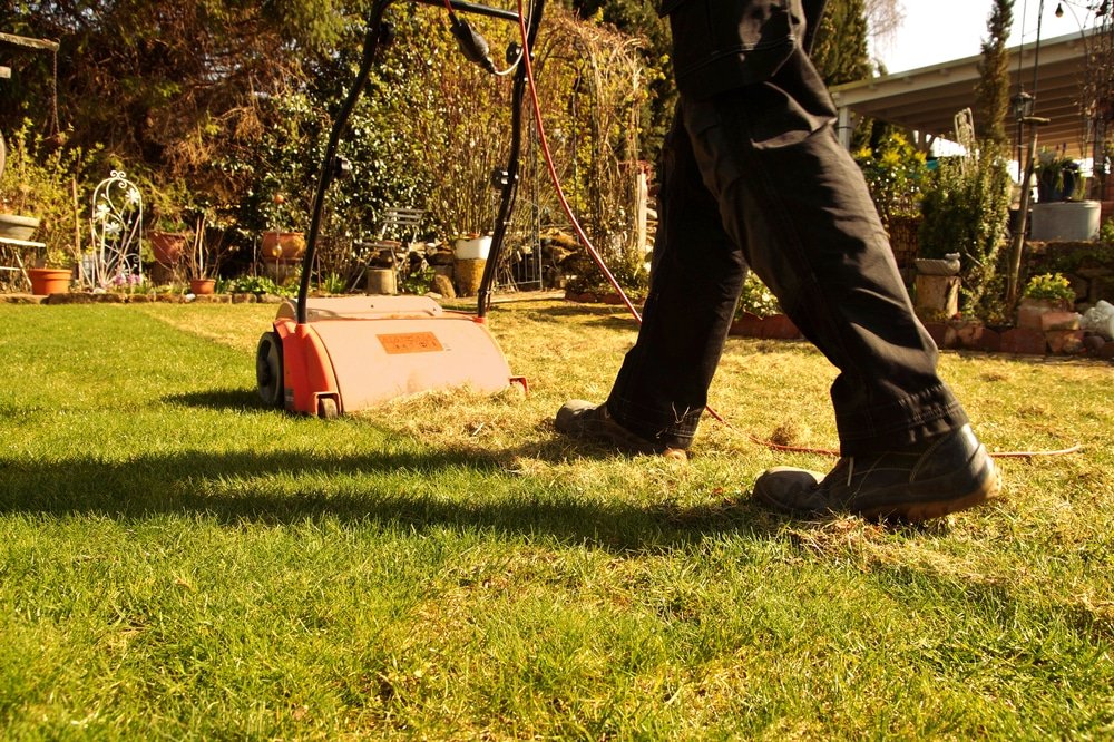 what is a lawn scarifier