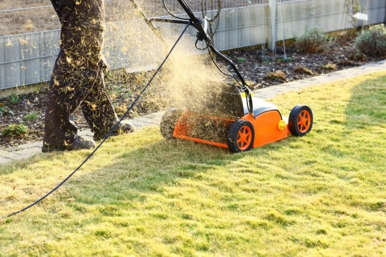 What Is the Difference Between a Lawn Rake and Scarifier? Which One Do I Need?