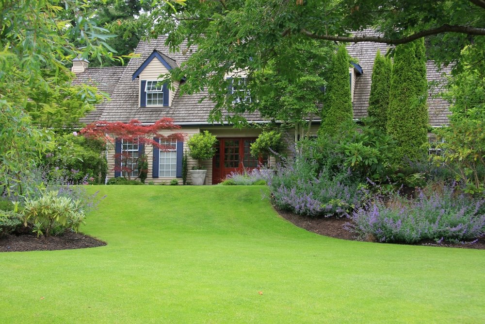 when to feed lawn