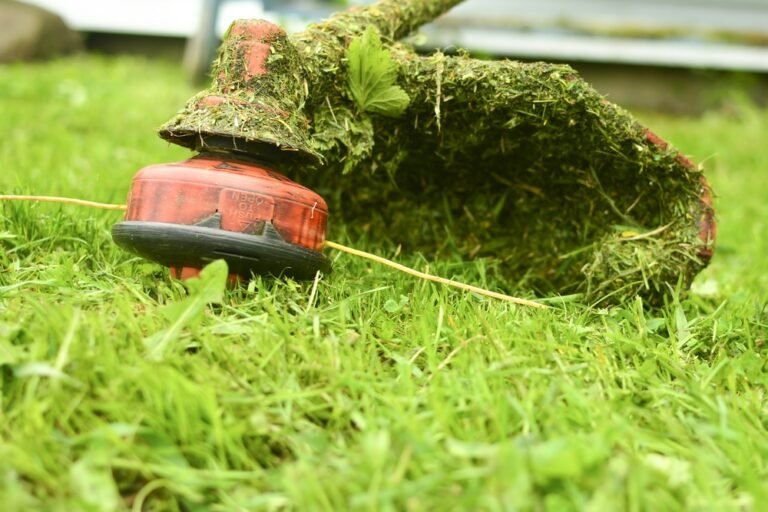 Why Does My Strimmer Line Keep Breaking? Things to Avoid When Weed Whacking